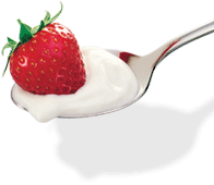 EasiYo Yogurt